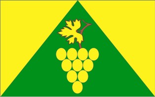 Flaga Gminy Zielona Góra - wersja urzędowa